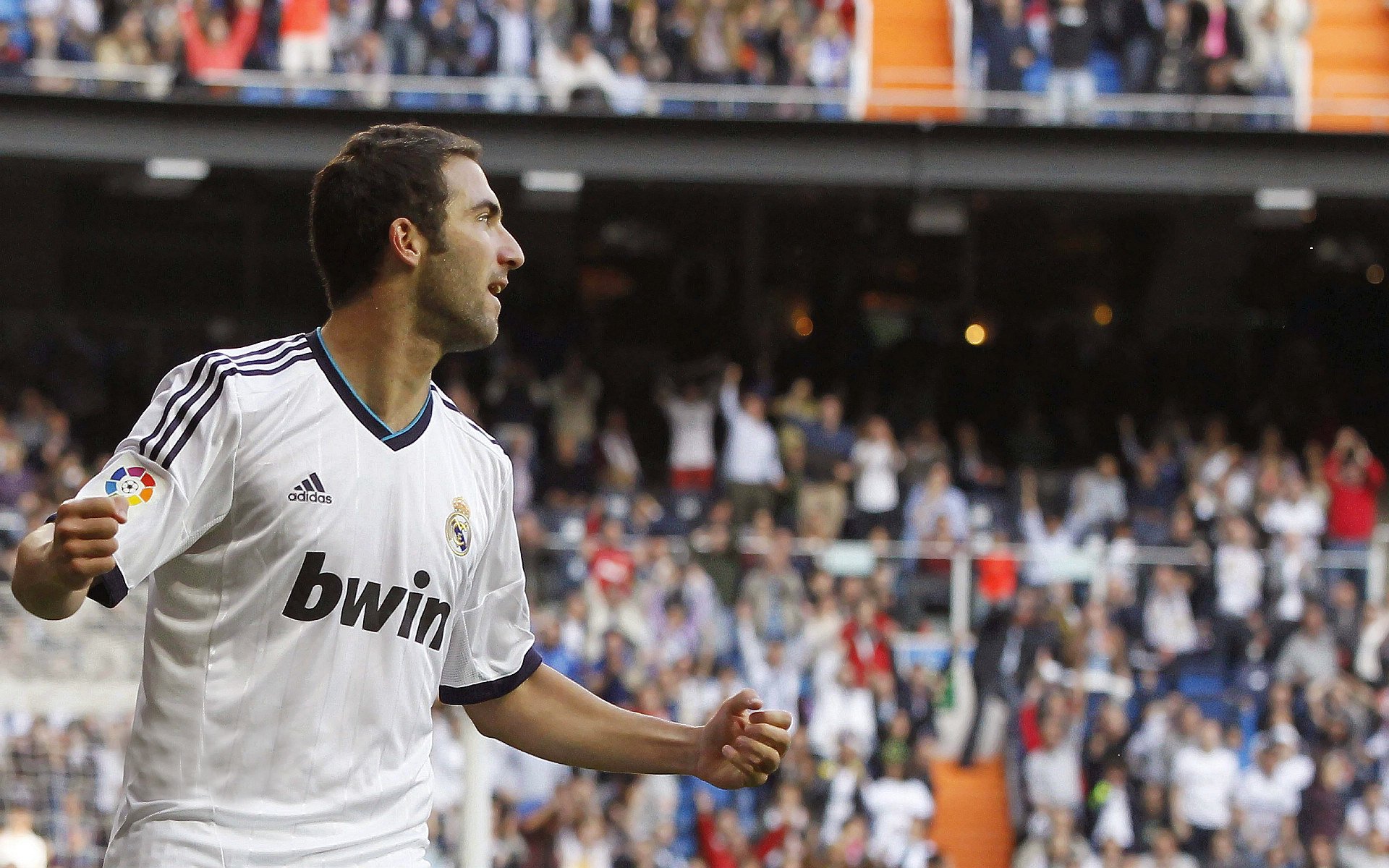 体育赛事全球市场